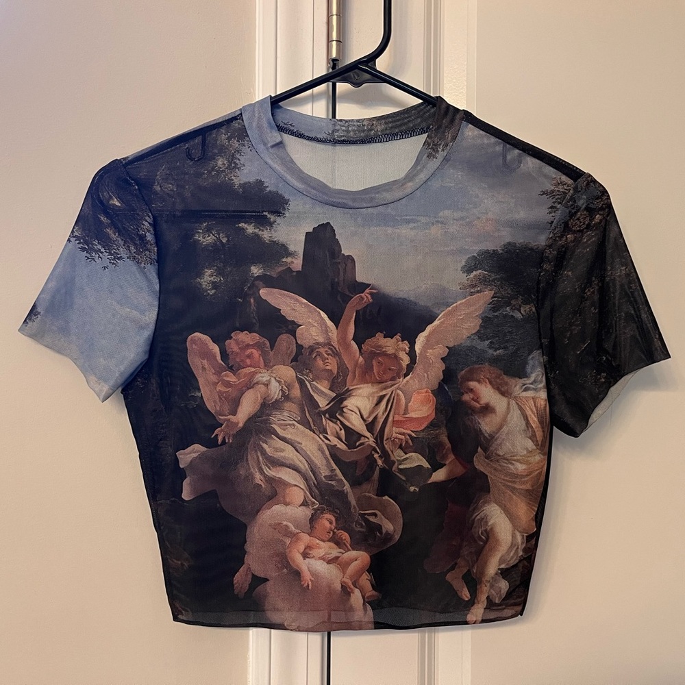 Urban Outfitters Michaelangelo Sheer Crop Top